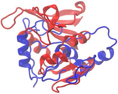 Concurrent Identification and Characterization of Protein Structure and Continuous Internal Dynamics with REDCRAFT